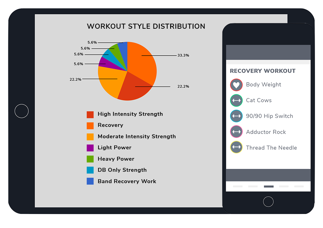 Workout Style Distribution